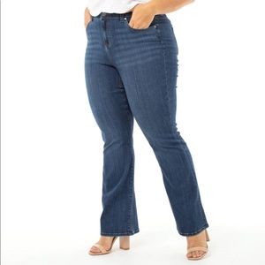 Angel Jeans Plus Size 